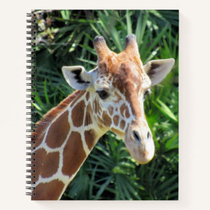 Giraffe Notebook - 8.5 x 11, 8.5 x 8.5, or Heart