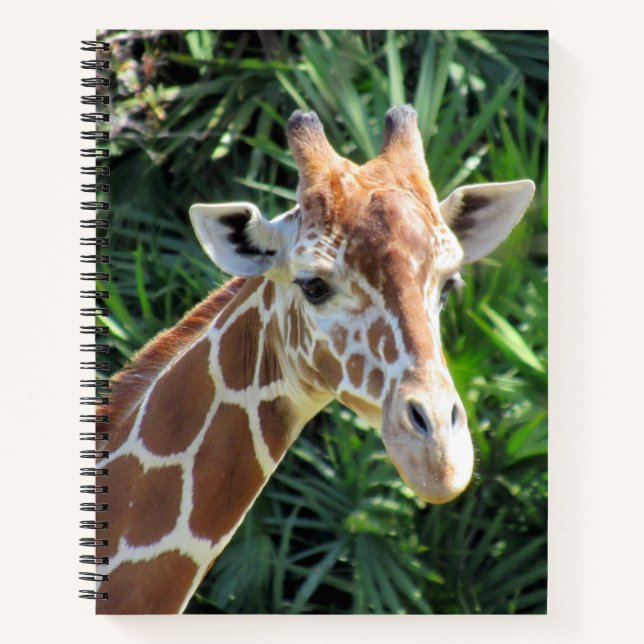 Giraffe Notebook  - 8.5 x 11, 8.5 x 8.5, or Heart (Front)