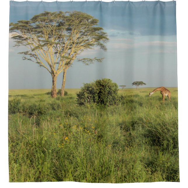 Giraffe on the Serengeti (Front)