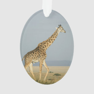 Giraffe Ornament