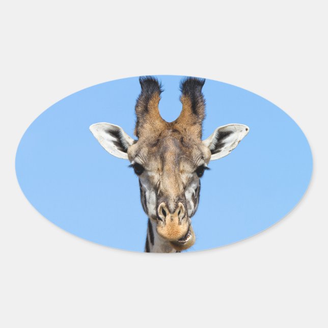 Giraffe Oval Sticker (Front)