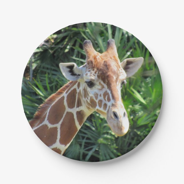 Giraffe Paper Plate (Front)