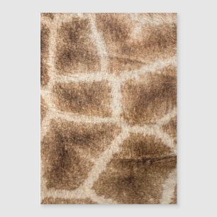Giraffe pattern