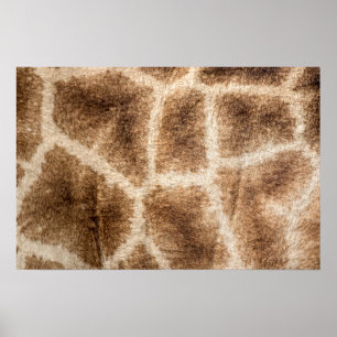 Giraffe pattern poster