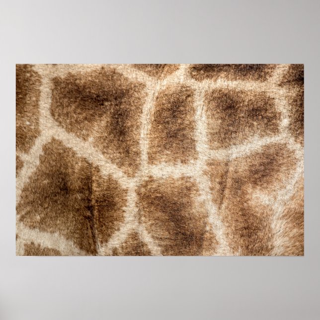 Giraffe pattern poster (Front)