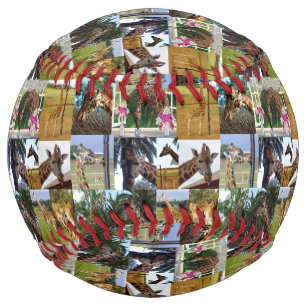 Giraffe Photo Collage, Softball