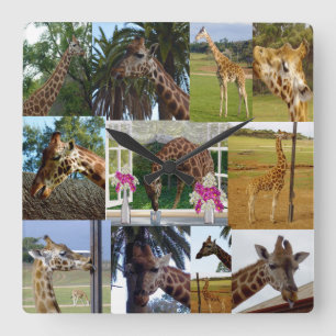 Giraffe Photo Collage, Square Wall Clock