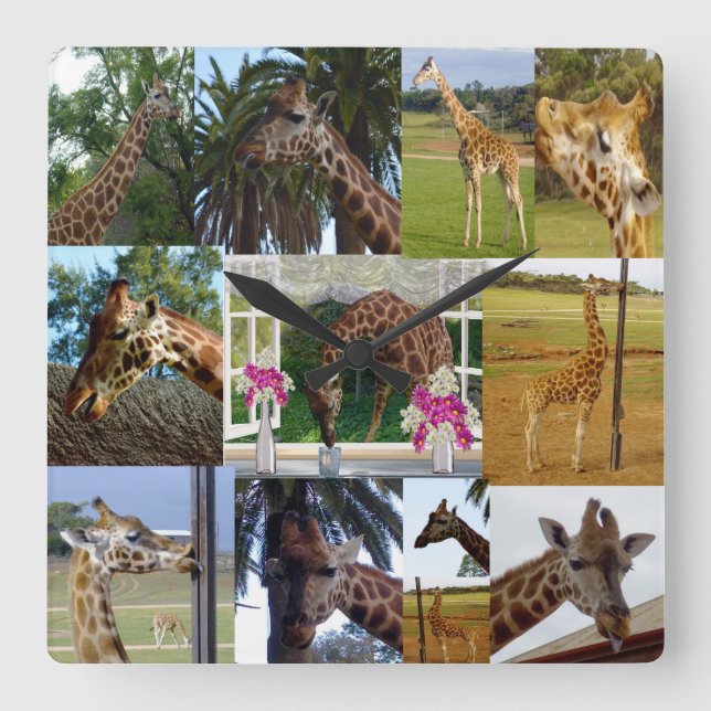 Giraffe Photo Collage, Square Wall Clock (Front)