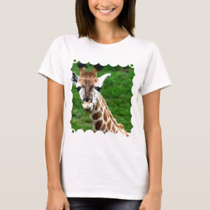 Giraffe Photo Ladies Fitted T-Shirt