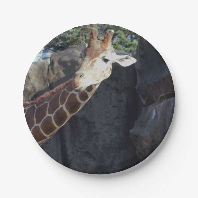 Giraffe Photo Paper Plate (Front)