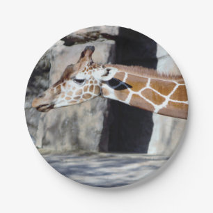 Giraffe Photo Paper Plate