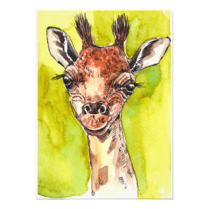 Giraffe Photo Print