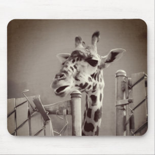 Giraffe Photograph - Vintage Style Mouse Pad