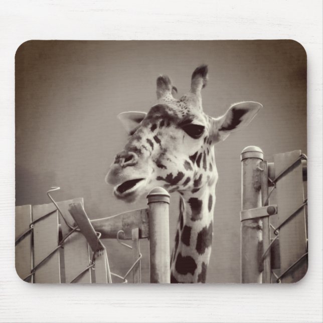 Giraffe Photograph - Vintage Style Mouse Pad (Front)