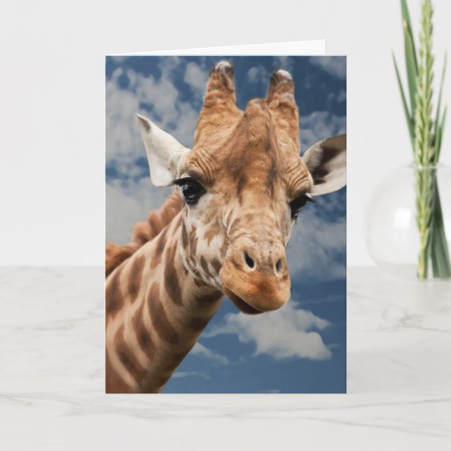 GIRAFFE PHOTOGRAPHIE CARTE D'ANNIVERSAIRE (Devant)