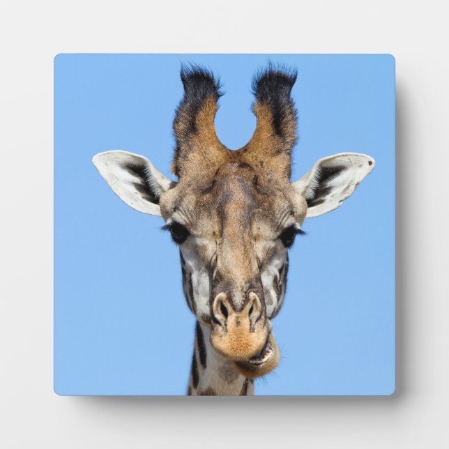 Giraffe Plaque (Front)