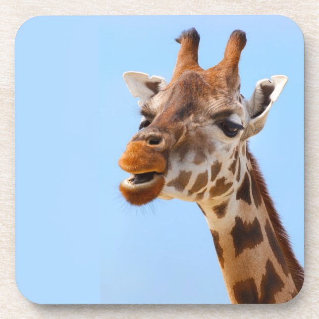 Giraffe Portrait coasters (Front)