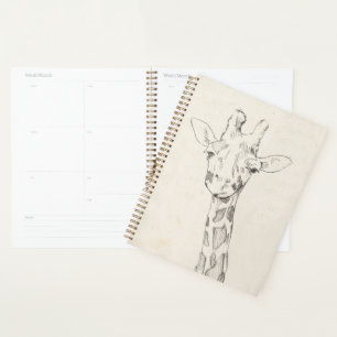 Giraffe Portrait   Croquis