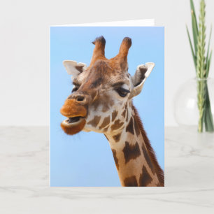Giraffe Portrait custom greeting card