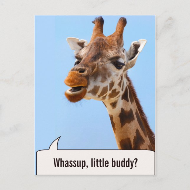 Giraffe Portrait custom text postcard (Front)