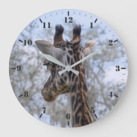 Giraffe portrait. I see you if I don't even look