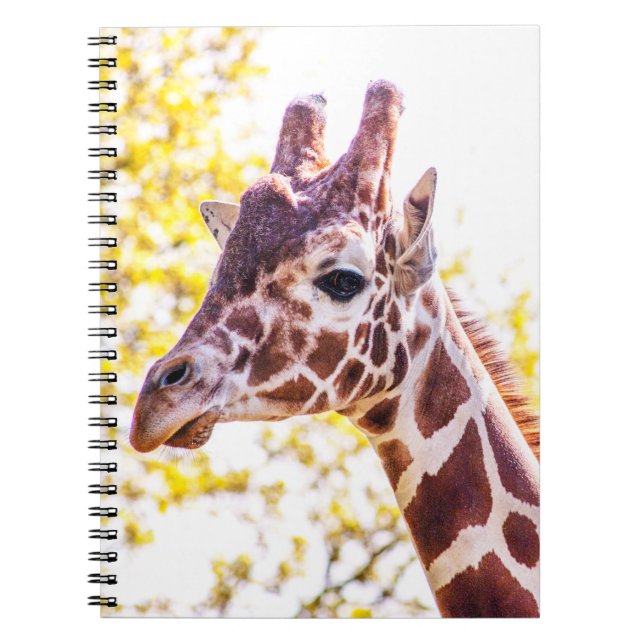Giraffe Portrait Notebook (Front)