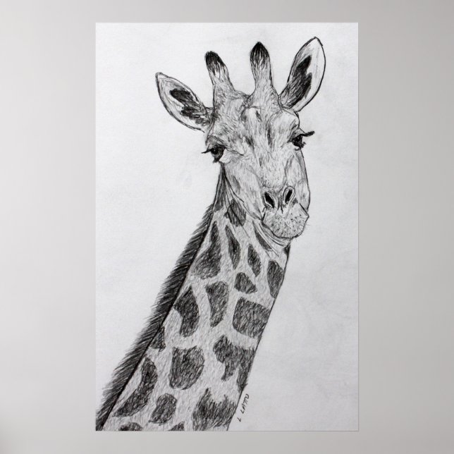 Giraffe Portrait Pencil Sketch Drawing Art Print (Front)
