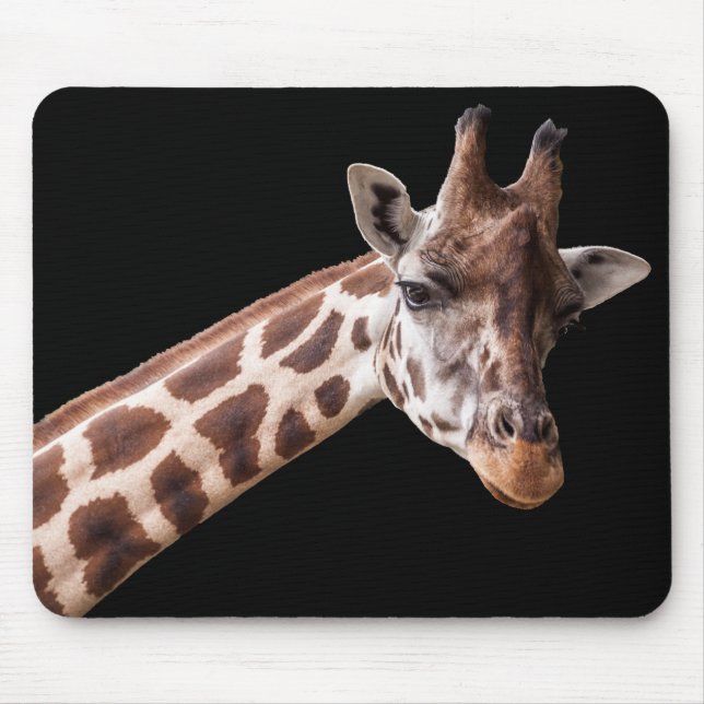 Giraffe Portrait Photo on Black Mouse Pad (Front)