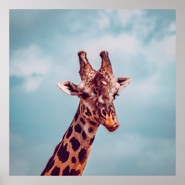 GIRAFFE PORTRAIT POSTER (Front)