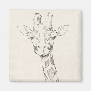 Giraffe Portrait   Sketch Magnet