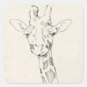 Giraffe Portrait Sketch Square Sticker
