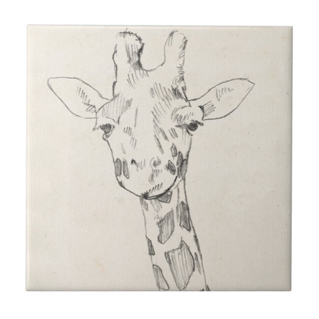 Giraffe Portrait | Sketch Tile (Front)