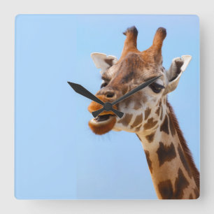 Giraffe Portrait wall clock