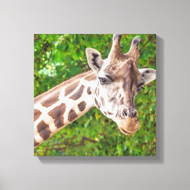 Giraffe Portrait - Wrapped Canvas (Front)