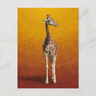 GIRAFFE POSTCARD