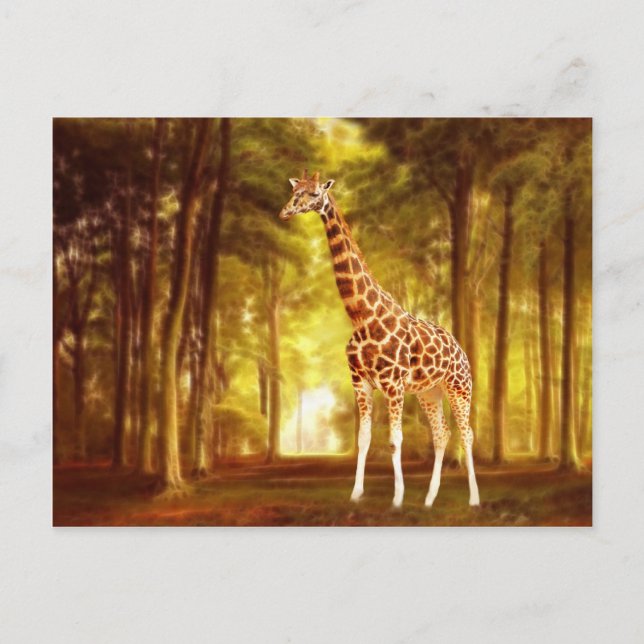 Giraffe Postcard (Front)