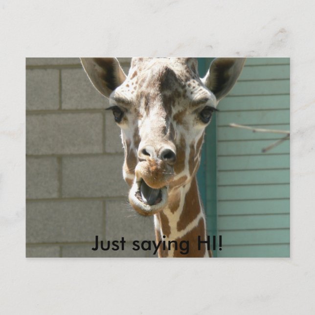 Giraffe Postcard (Front)