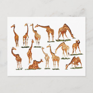 "GIRAFFE" POSTCARD