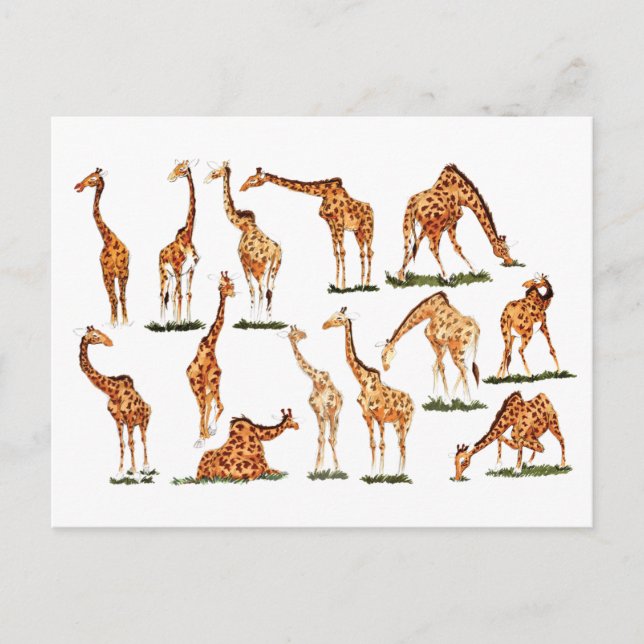 "GIRAFFE"  POSTCARD (Front)