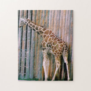 Giraffe puzzle