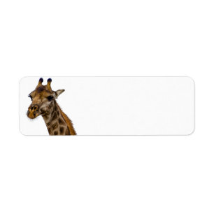 Giraffe Return Address Labels