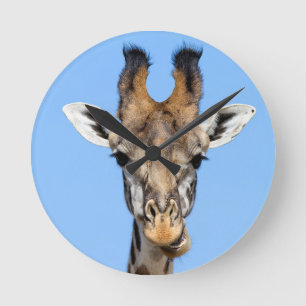 Giraffe Round Clock