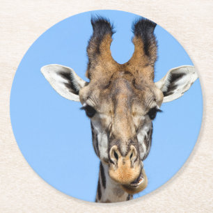 Giraffe Round Paper Coaster