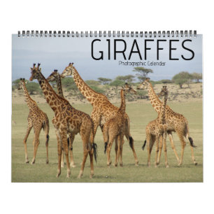 giraffe safari 2026 large calendar