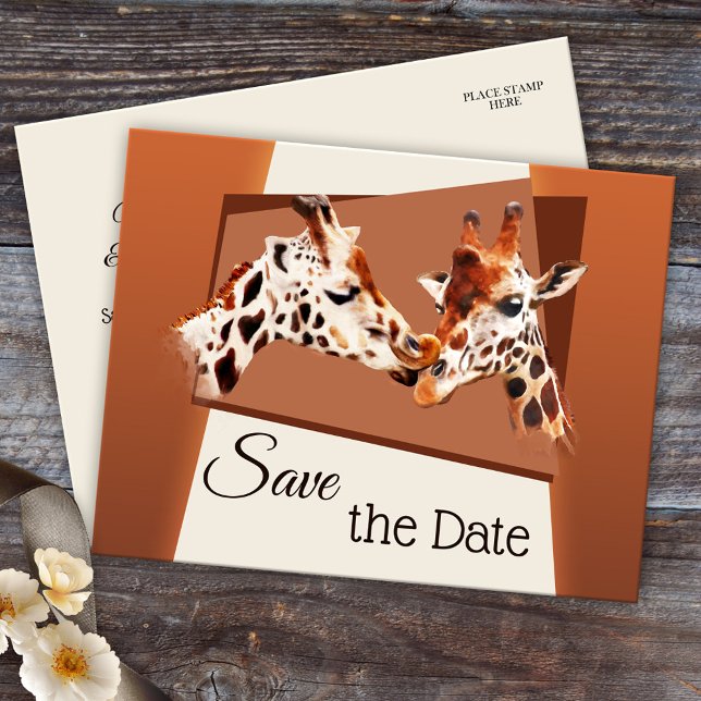 Giraffe Safari Zoo Save the Date Postcard (Cute and romantic zoo or safari Save the Date postcard with a painting of giraffes in love)