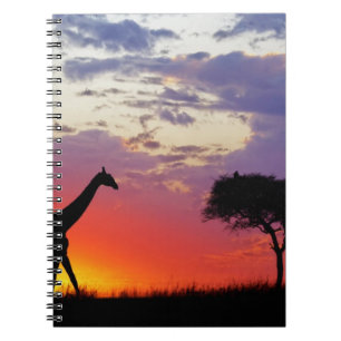 Giraffe silhouetted at sunrise, Giraffa Notebook