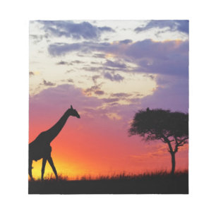 Giraffe silhouetted at sunrise, Giraffa Notepad