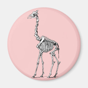 Giraffe Skeleton Magnet