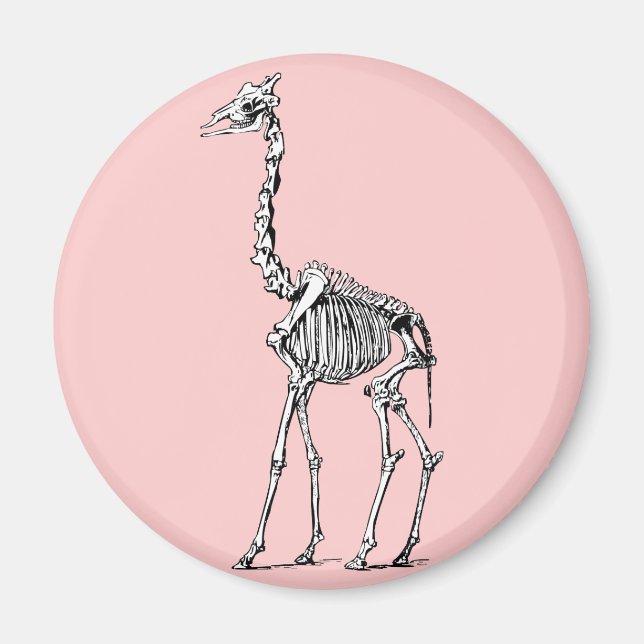 Giraffe Skeleton Magnet (Front)