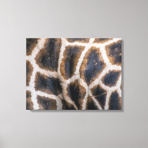 Giraffe skin pattern up close canvas print